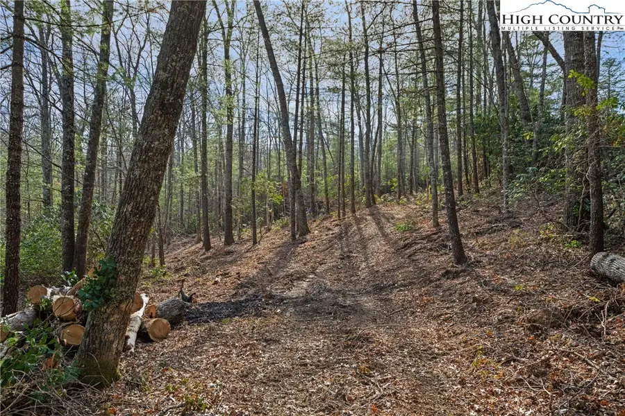 TBD Forever Drive, Fleetwood, NC 28626 - Image #3