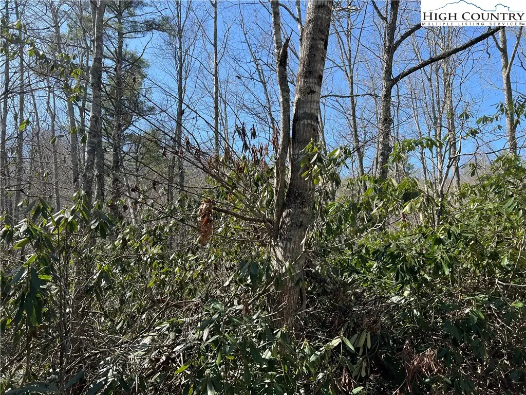 134 Goldfinch Road, Newland, NC 28657 - Image #1