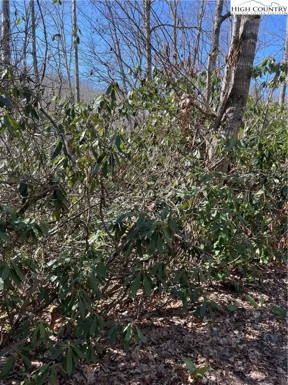 134 Goldfinch Road, Newland, NC 28657 - Image #2