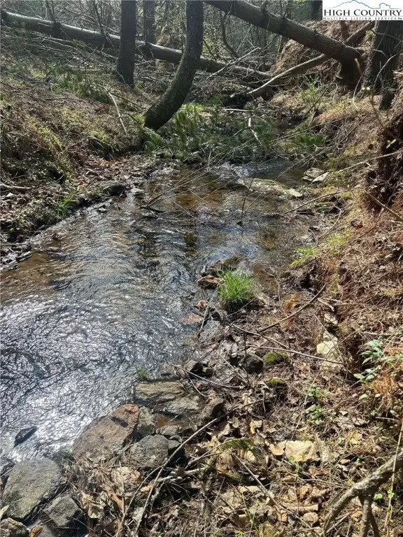 101 Pleasant Home Road, Sparta, NC 28675 - Image #1