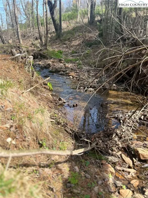 101 Pleasant Home Road, Sparta, NC 28675 - Image #2