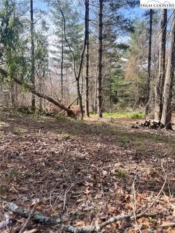 101 Pleasant Home Road, Sparta, NC 28675 - Image #3