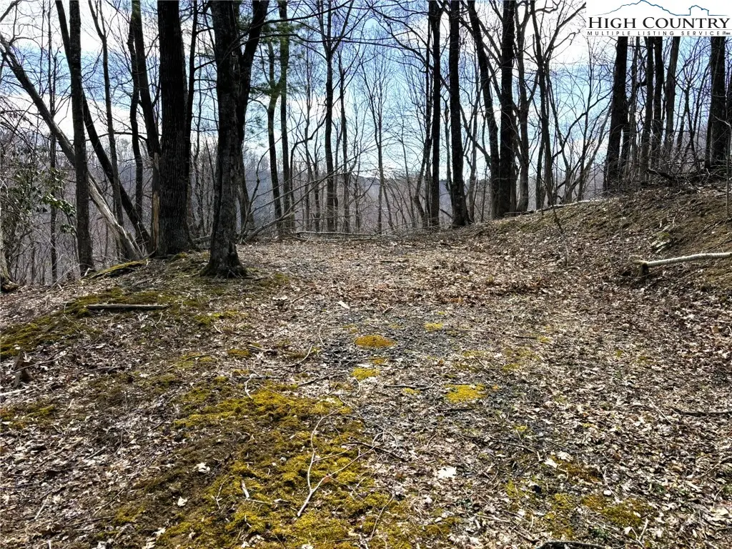 Lot 14 Larkspur Trail, Banner Elk, NC 28604 - Image #1