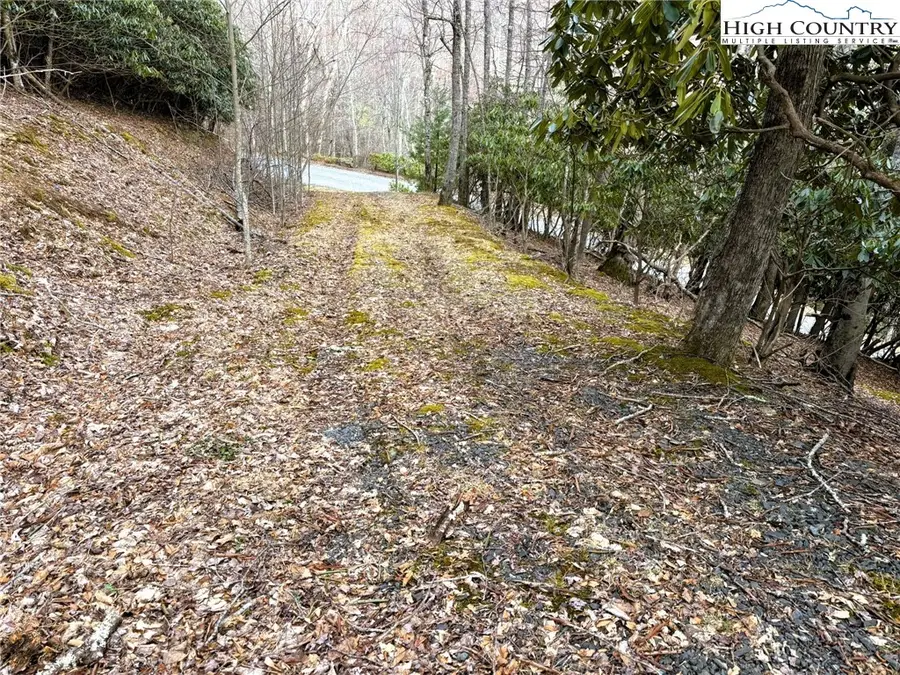 Lot 14 Larkspur Trail, Banner Elk, NC 28604 - Image #3