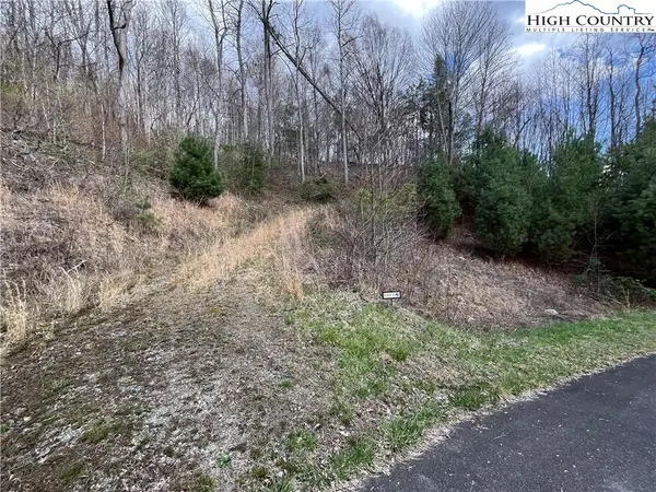 Lot 4 Sugar Hill Lane, Sugar Grove, NC 28679
