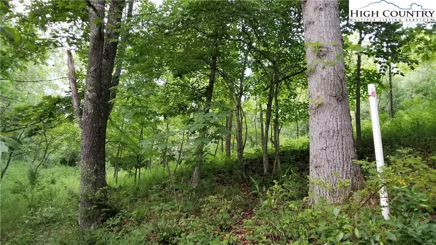 Lot 10 River Country Road, Piney Creek, NC 28663 - Image #2