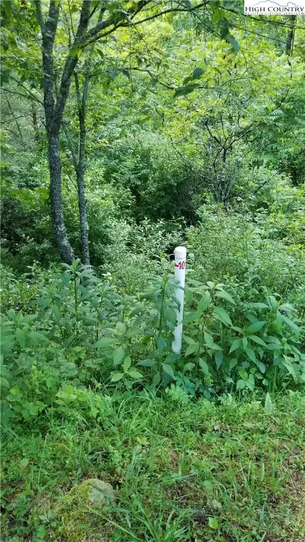 Lot 10 River Country Road, Piney Creek, NC 28663 - Image #3