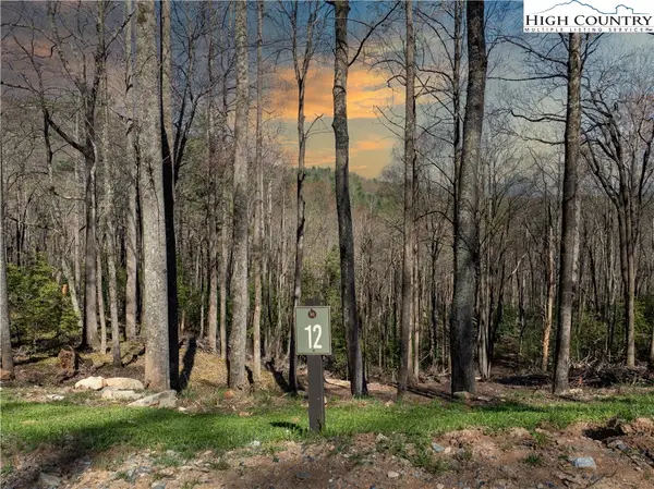 Lot 12 Wildcat Wilderness Parkway, Deep Gap, NC 28618
