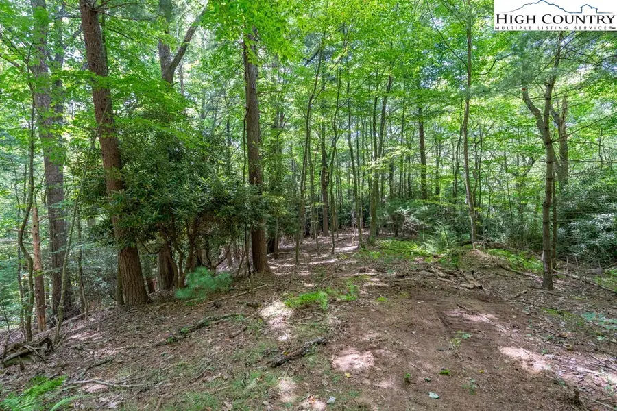 TBD Rocky Knob Tower Road, Lenoir, NC 28645 - Image #2