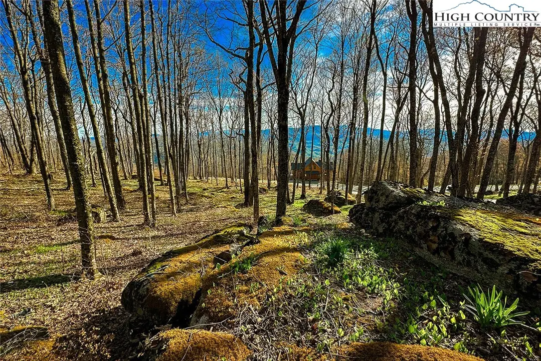 Lot 3 Crestline Court, Banner Elk, NC 28604 - Image #1