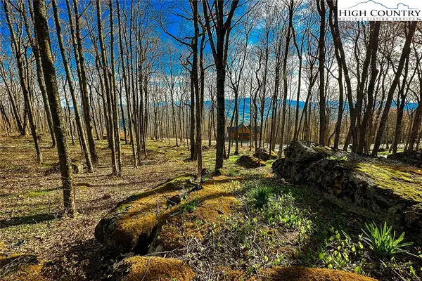 Lot 3 Crestline Court, Banner Elk, NC 28604