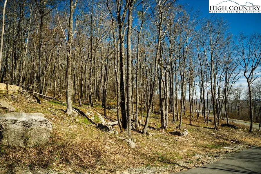 Lot 3 Crestline Court, Banner Elk, NC 28604 - Image #2