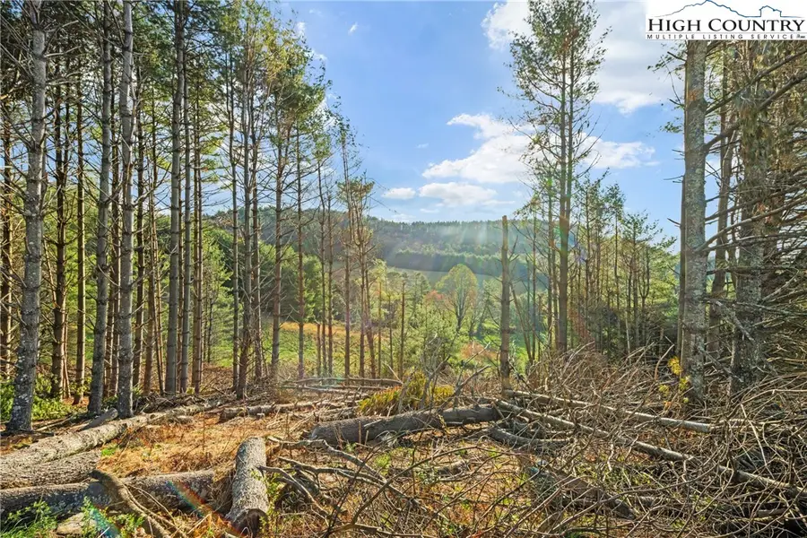 TBD Wildcat Road, Deep Gap, NC 28618 - Image #3