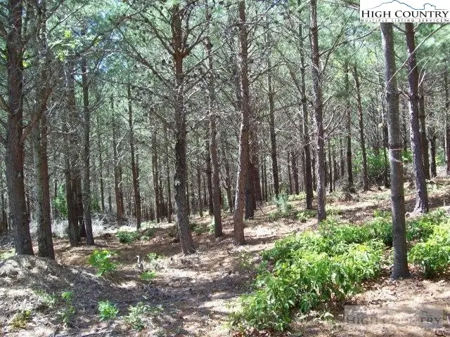 1552 Bear Cliff Drive Lake, Marion, NC 58761 - Image #2