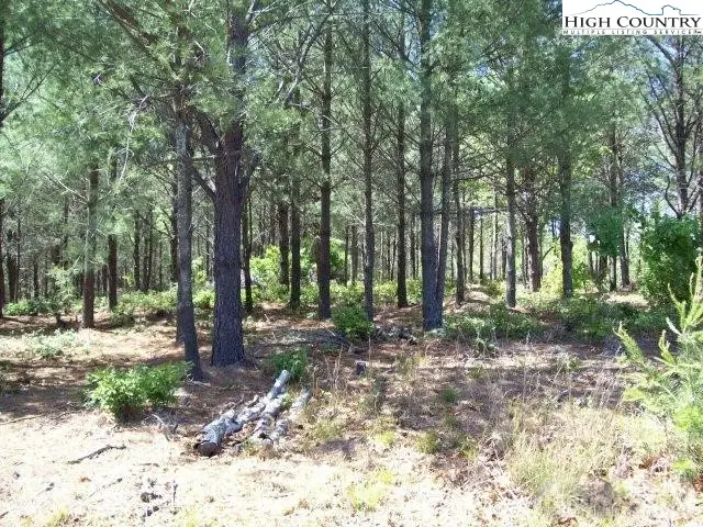 1552 Bear Cliff Drive Lake, Marion, NC 58761 - Image #3