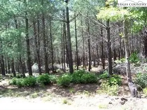 1552 Bear Cliff Drive Lake, Nebo, NC 28761 - Image #2