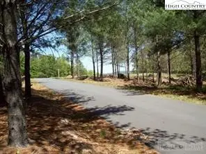 1552 Bear Cliff Drive Lake, Nebo, NC 28761 - Image #3