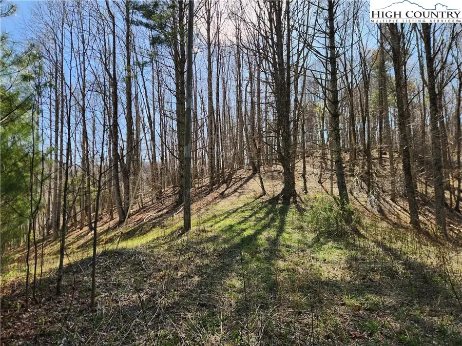 6033 Hwy 321 Highway, Sugar Grove, NC 28679 - Image #3