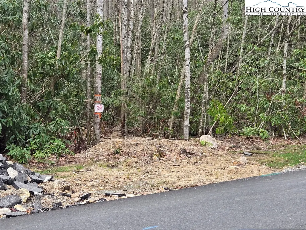 Lot 102 Buckeye Creek Road, Beech Mountain, NC 28604 - Image #1