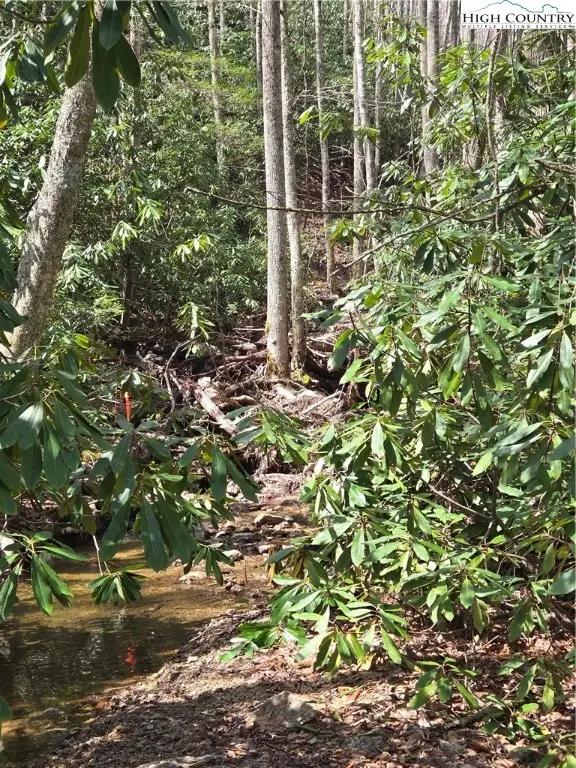 Lot 102 Buckeye Creek Road, Beech Mountain, NC 28604 - Image #3