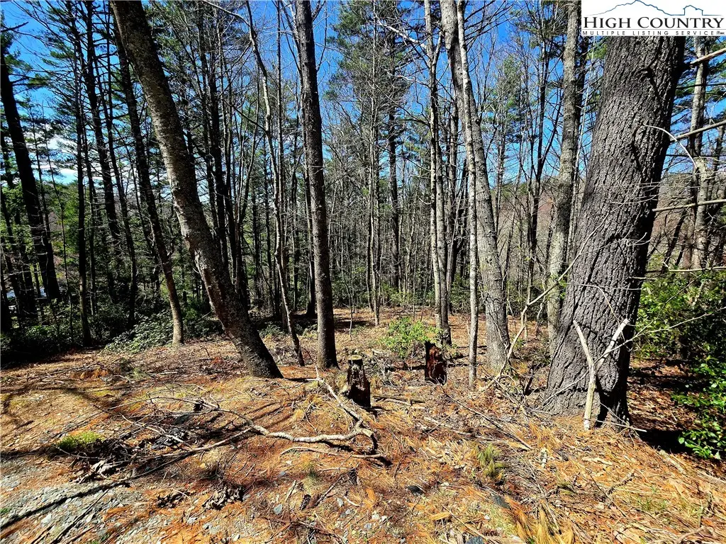 TBD (lots 5 & 6) River Ridge Road, Boone, NC 28607 - Image #1