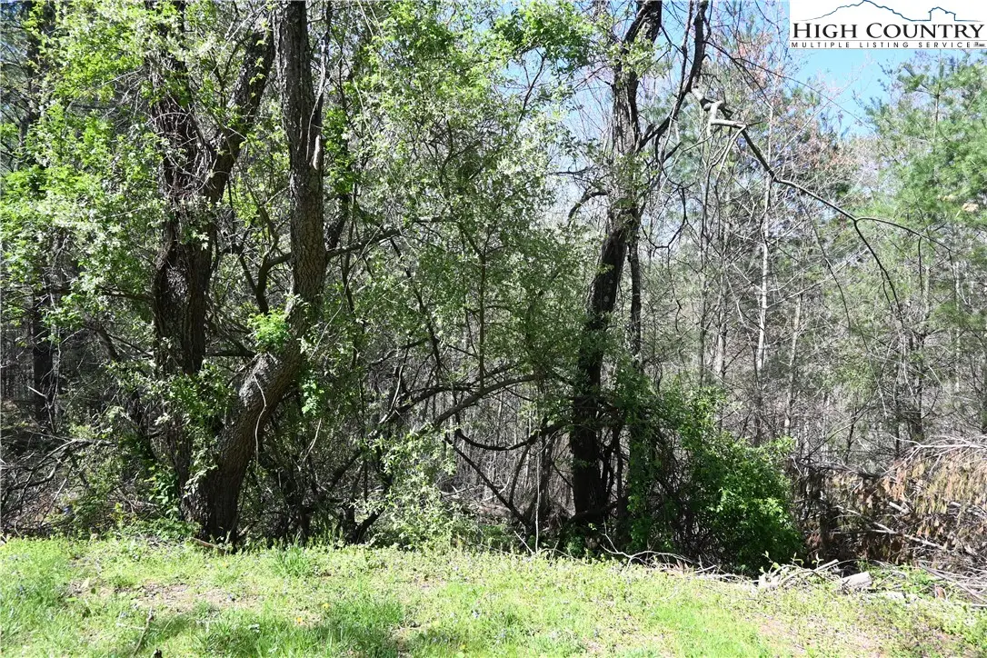 15A River Bend Hills Road, Crumpler, NC 28617 - Image #1