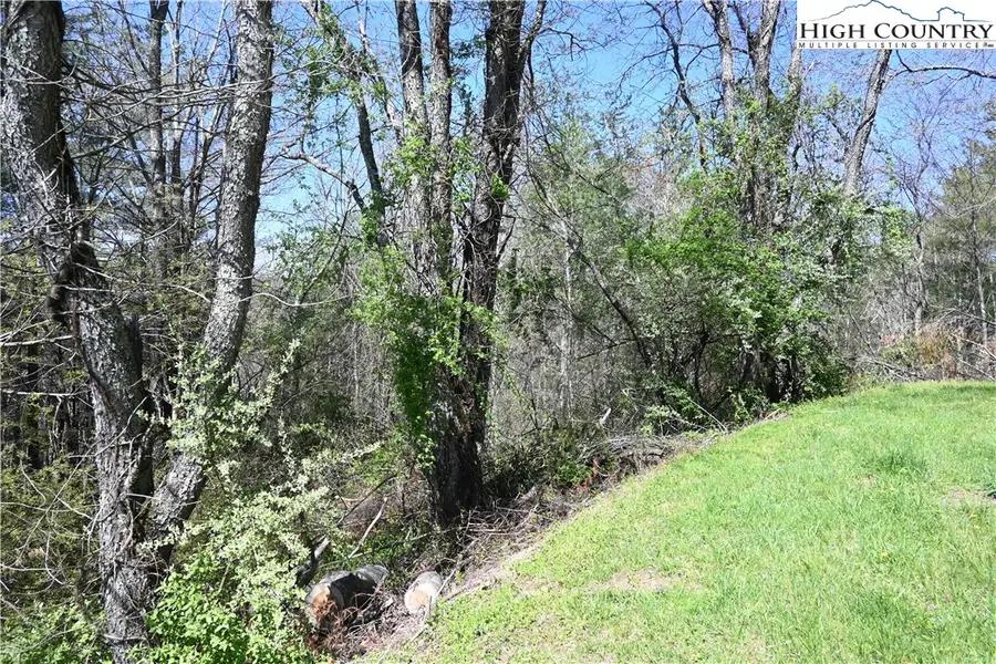 15A River Bend Hills Road, Crumpler, NC 28617 - Image #3