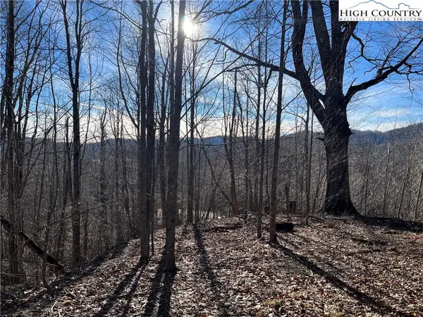 Lot 33 Paradise Valley Circle, Creston, NC 28615