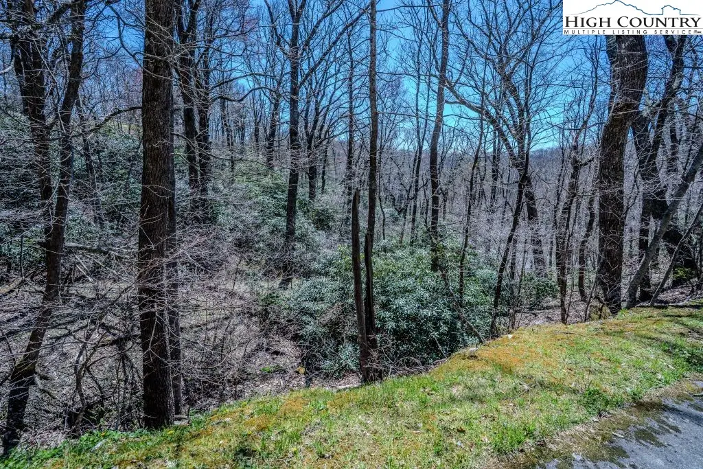 Lot 1 Tanawha Parkway, Blowing Rock, NC 28605 - Image #1