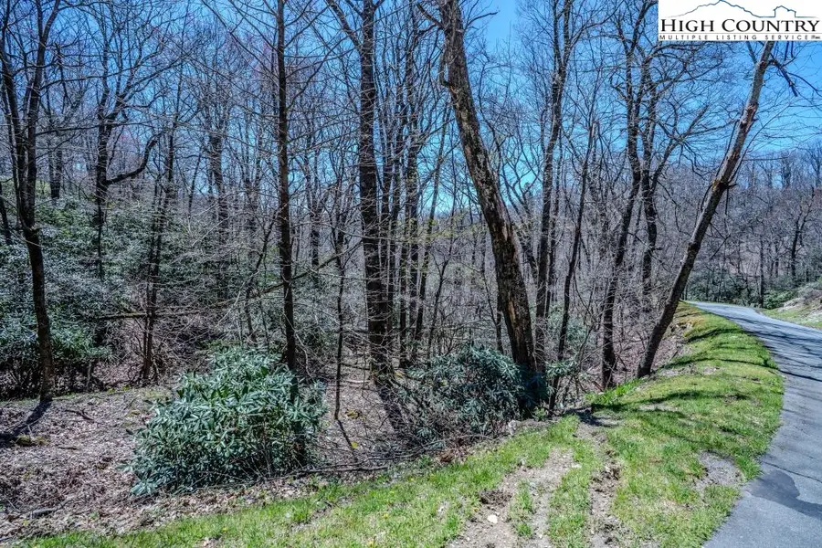 Lot 1 Tanawha Parkway, Blowing Rock, NC 28605 - Image #2