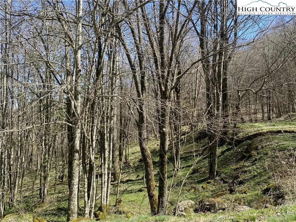 TBD/Lot 1 Trillium Creek Run, Newland, NC 28657 - Image #1