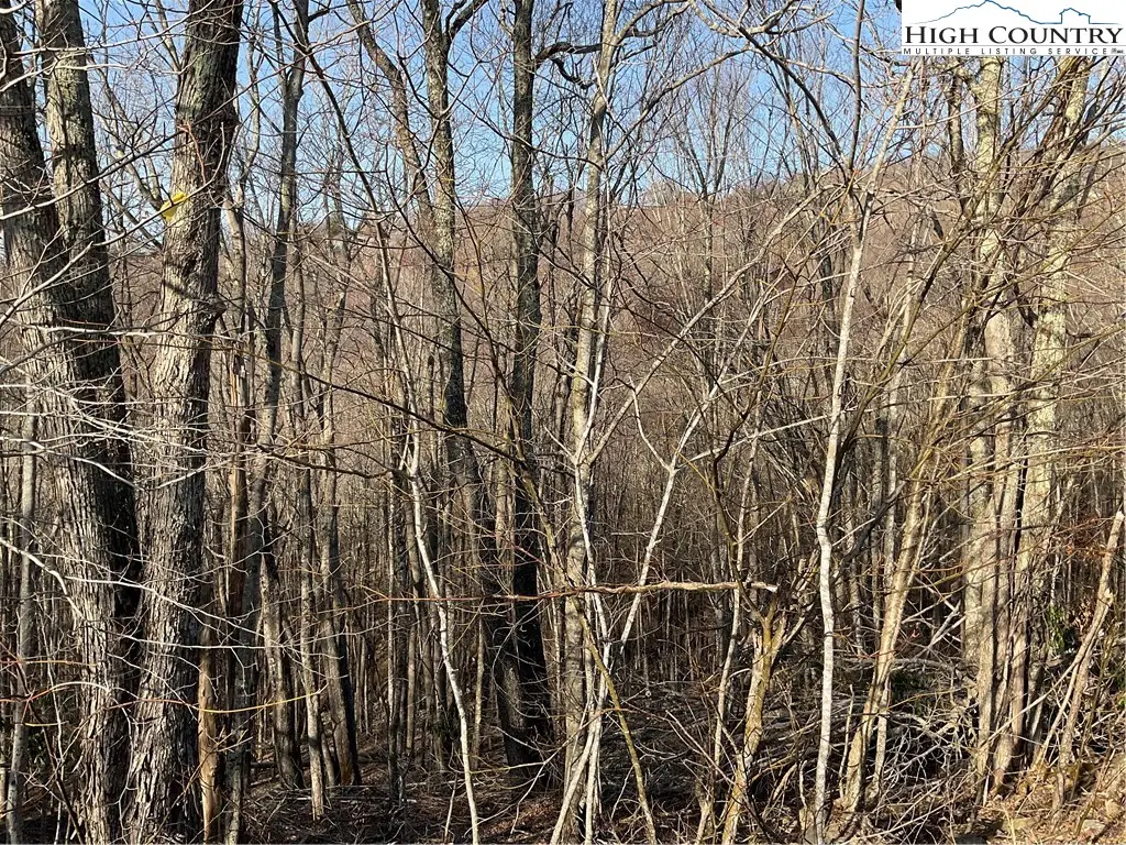 134 Lower Snowbird Trail, Beech Mountain, NC 28604 - Image #1