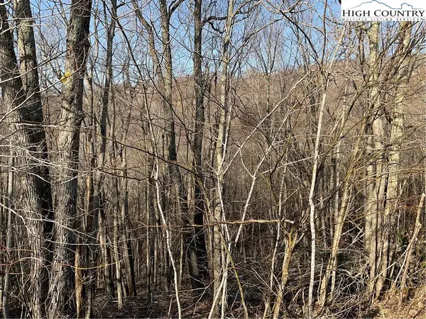 134 Lower Snowbird Trail, Beech Mountain, NC 28604