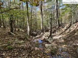 134 Lower Snowbird Trail, Beech Mountain, NC 28604 - Image #2