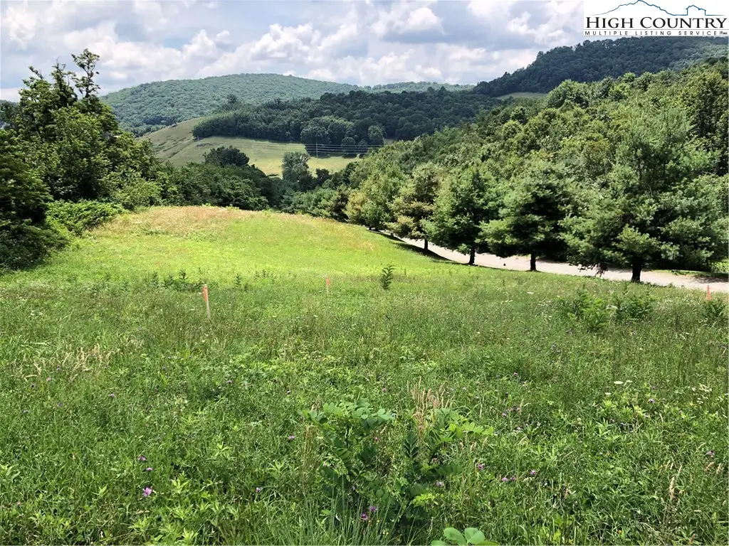 Lot #24 Mountain Vista Drive, Sparta, NC 28675 - Image #1