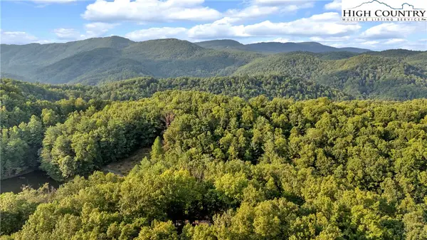 TBD Trout Lake Road, Deep Gap, NC 28618