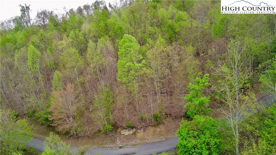 Lot 24 Lake View Drive, Elk Park, NC 28622 - Image #2