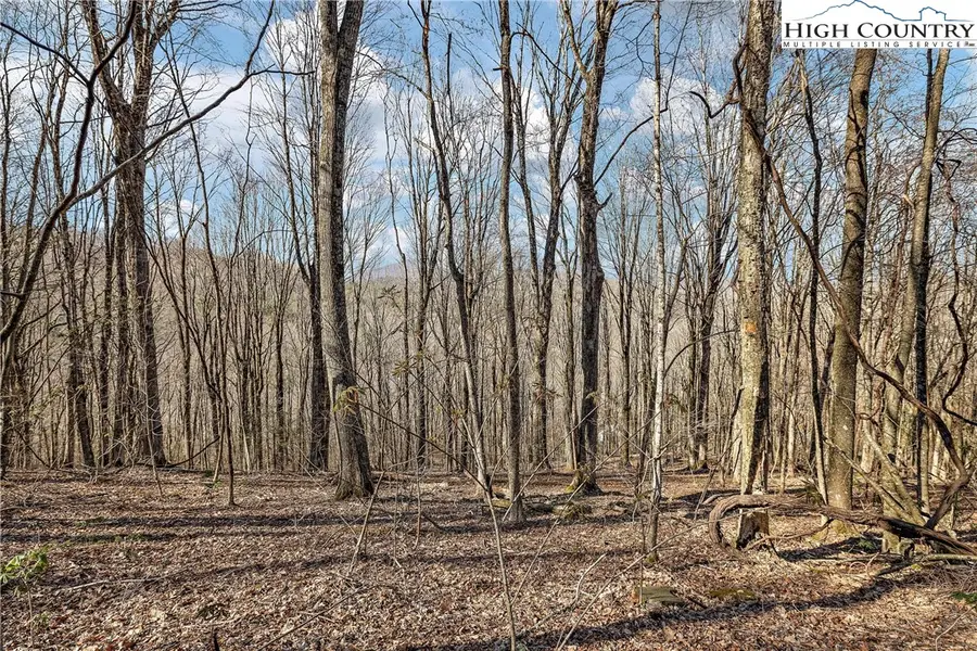TBD Cobbs Creek Road, Boone, NC 28607 - Image #2