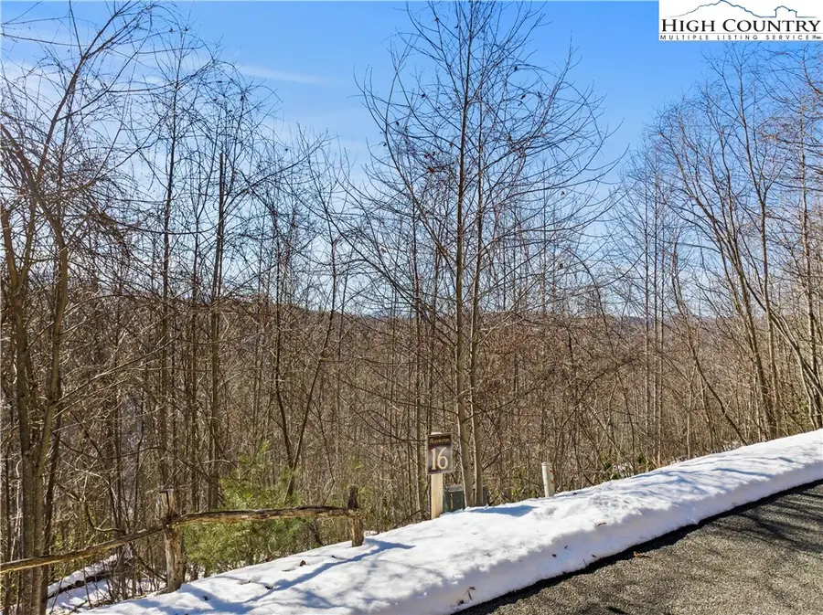 Lot 16 Lake View Drive, Elk Park, NC 28622 - Image #2