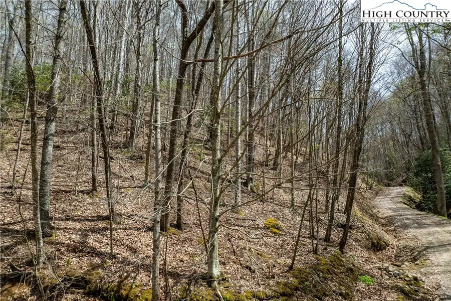 TBD Culbertson Lane, Mountain City, TN 37683 - #2