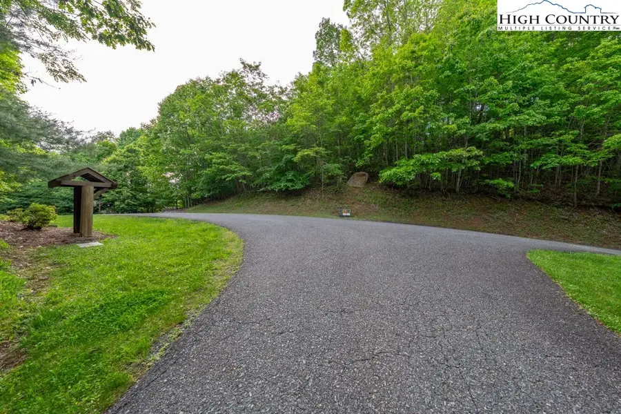 Lot 54 Pinnacle Drive, Elk Park, NC 28622 - Image #3