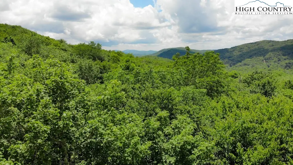 1715 Forest Ridge Drive #17, Linville, NC 28646 - Image #1