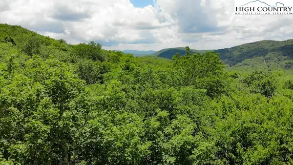 1715 Forest Ridge Drive #17, Linville, NC 28646