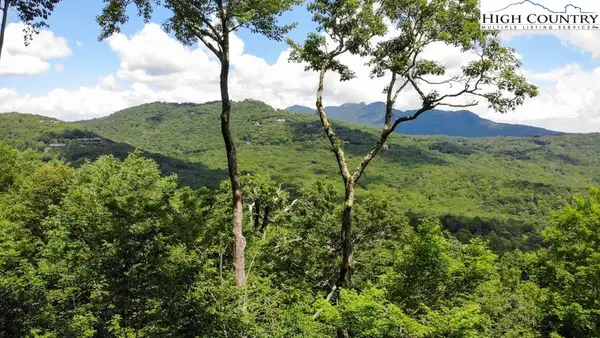 1728 Forest Ridge Drive #17, Linville, NC 28646