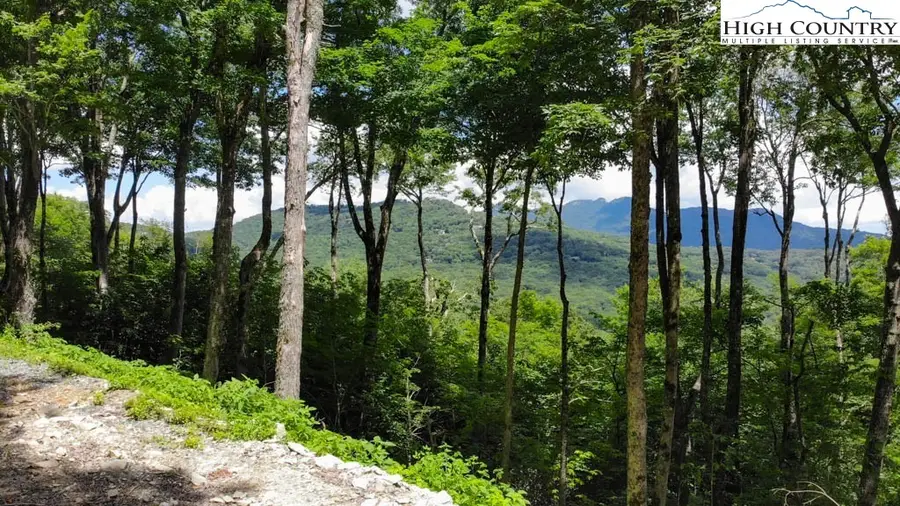 1728 Forest Ridge Drive #17, Linville, NC 28646 - Image #3