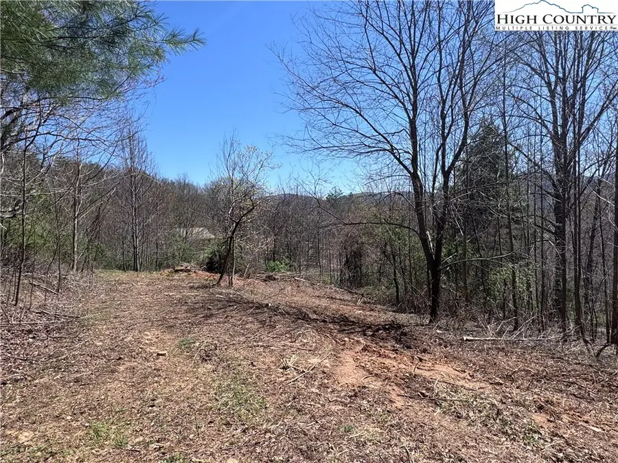 Lot 70 Laurel Mountain Drive, Sparta, NC 28675 - Image #2