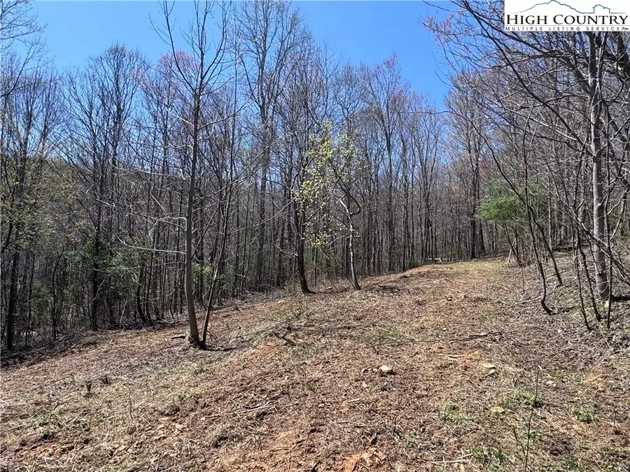 Lot 70 Laurel Mountain Drive, Sparta, NC 28675 - Image #3