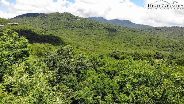 1729 Forest Ridge Drive #17, Linville, NC 28646