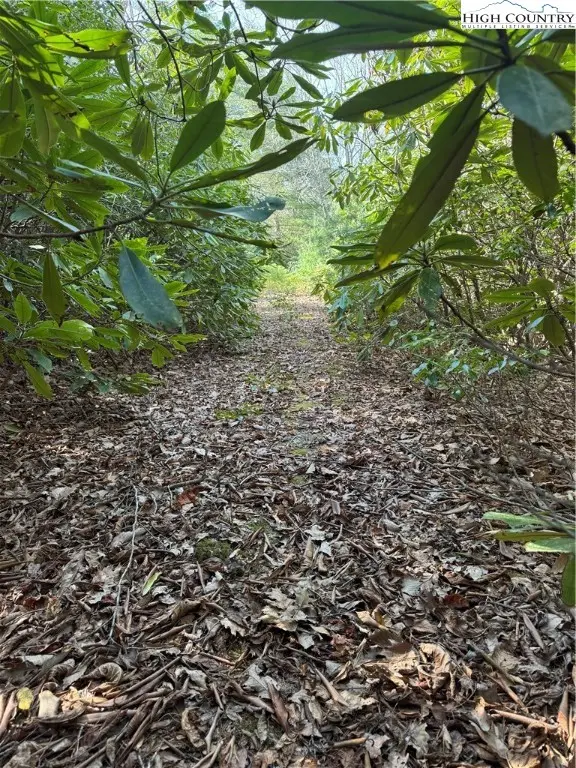 7797 Huskins Drive #Tract 4, Newland, NC 28657 - Image #2