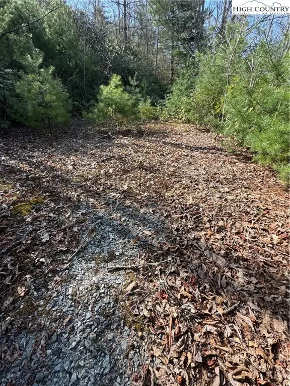 7797 Huskins Drive #Tract 4, Newland, NC 28657 - Image #3